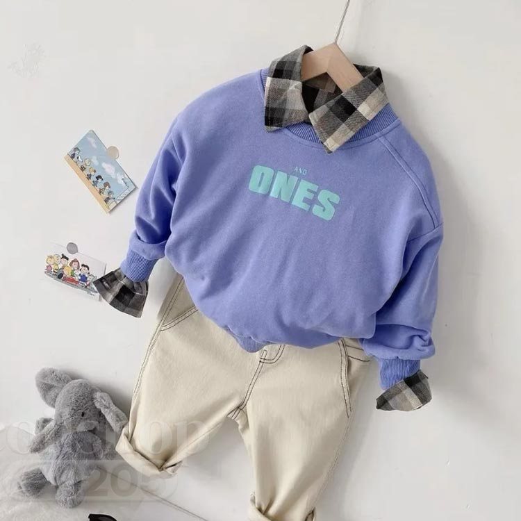 【2点500円クーポン】プルオーバーパーカー キッズ トレーナー ベビー 子供服 男の...
