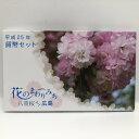 花のまわりみち 平成25年 貨幣セット 糸括 八重桜イン広島（2013年） 純銀 メダル入り 記念硬貨 記念コイン 造幣局 ミントセット