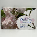 花のまわりみち 平成27年 貨幣セット 日暮 八重桜イン広島(2015年) 純銀 メダル入り 記念硬貨 記念コイン 造幣局 ミントセット