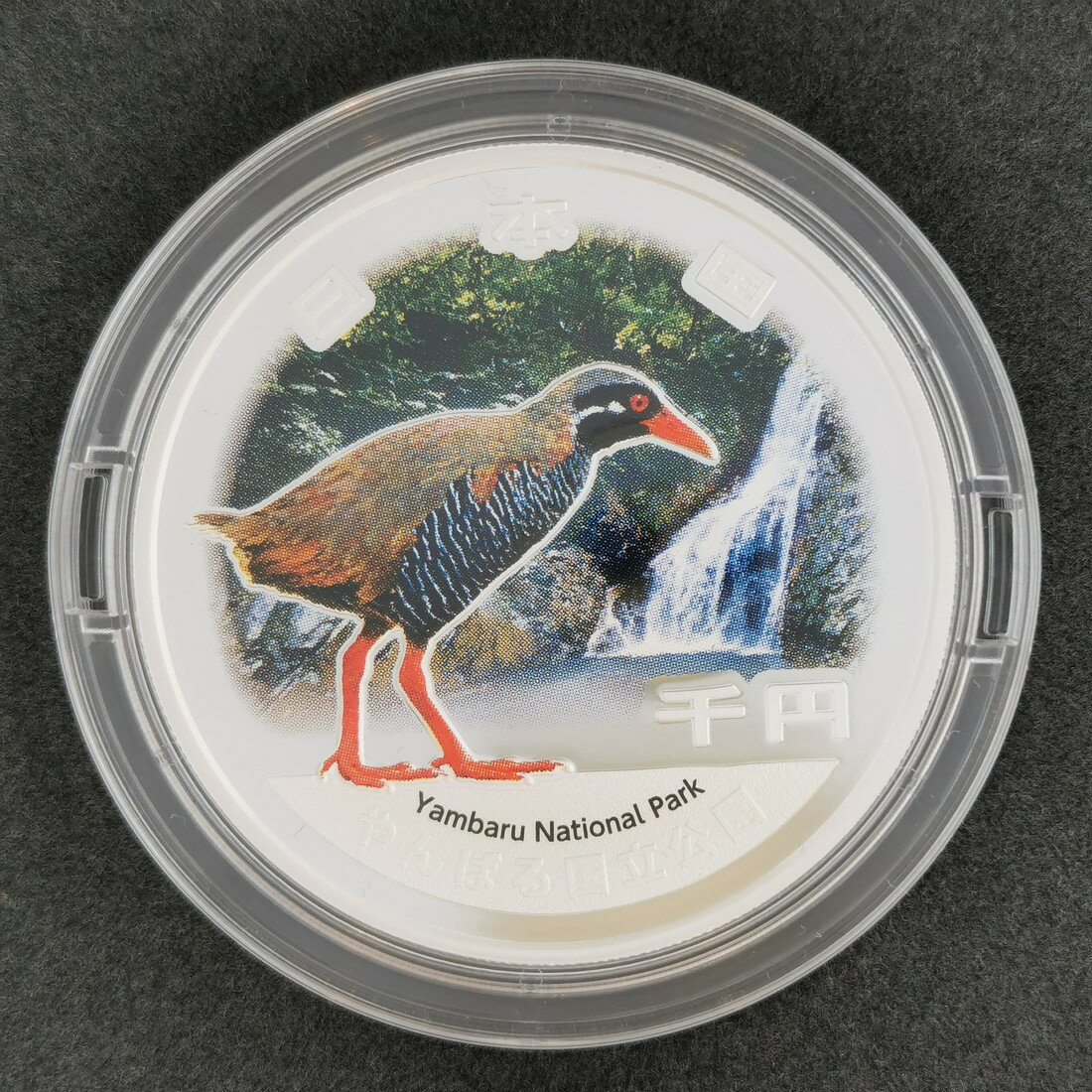 2024年 国立公園制度100周年記念千円銀貨幣 （ケース入り） 『やんばる国立公園』 令和6年 1000円 銀貨..
