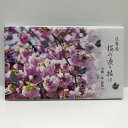 桜の通り抜け 令和2年 貨幣セット 春日井(2020年) 純銀 メダル入り 記念硬貨 記念コイン 造幣局 ミントセット