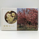 花のまわりみち 平成6年 貨幣セット 鬱金 八重桜イン広島(1994年) 純銀 メダル入り 記念硬貨 記念コイン 造幣局 ミントセット
