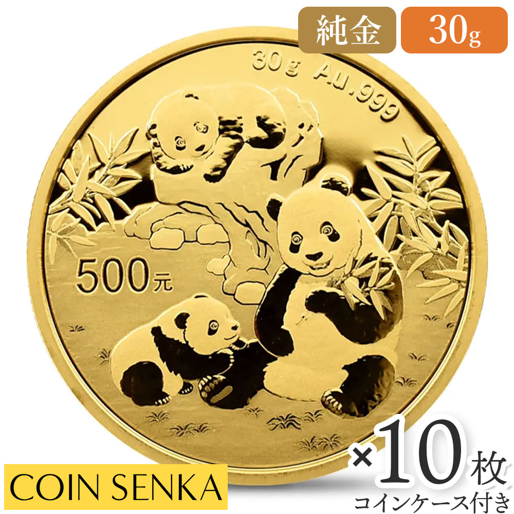 ¨Ǽײġ  2025 ѥ 500 30  10