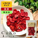 犬 おやつ いちご 国産 無添加 イチゴ 苺 ストロベリー いちごちっぷ 25g ストロベリー CoKo犬と猫のご飯やさん 小型犬 中型犬 子犬 シニア犬 トリーツ トレーニング ご褒美 トッピング ドッグ