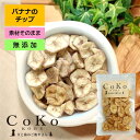 犬 おやつ 無添加 バナナ 犬おやつ 無添加バナナ CoKoオリジナル 犬用おやつ バナナチップ (60g) banana for dogs