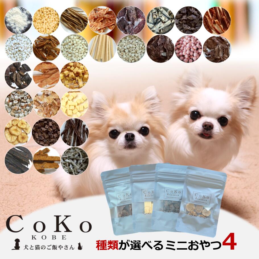 【 初回限定20%OFFクーポン★選べる4点!!】 犬 おやつ 小分け 無添加 国産 低脂肪 種類が ...