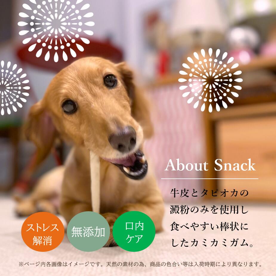 ���� ���� �� ���� ���饹�ƥ��å� 40g �� ����� ̵ź�� ���ѥ��� ���Υ��� ���饬�� ���ߤ��� ���᤭ �ϥߥ��� �ǥ󥿥� ������� ���Τ���� ���Ѥ���� ������Ĺ�̵ź�� �緿�� �淿�� ������ ��������