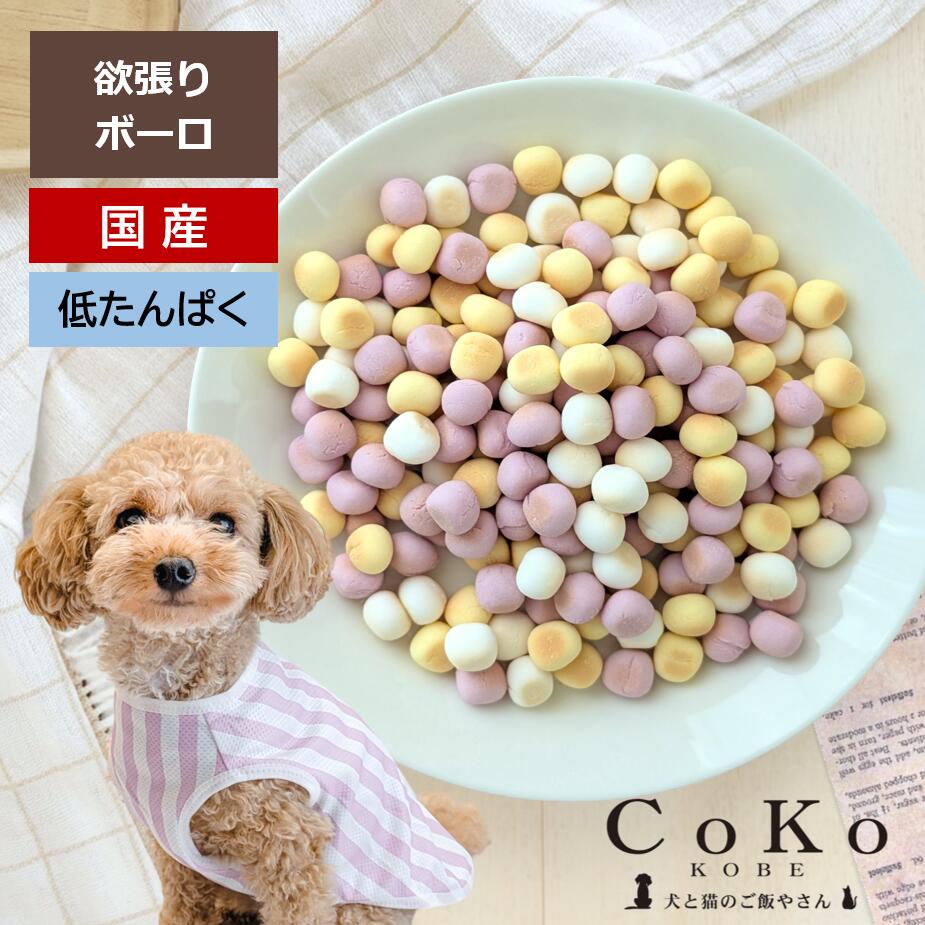 国産犬おやつ欲張りボーロブルーベリ...