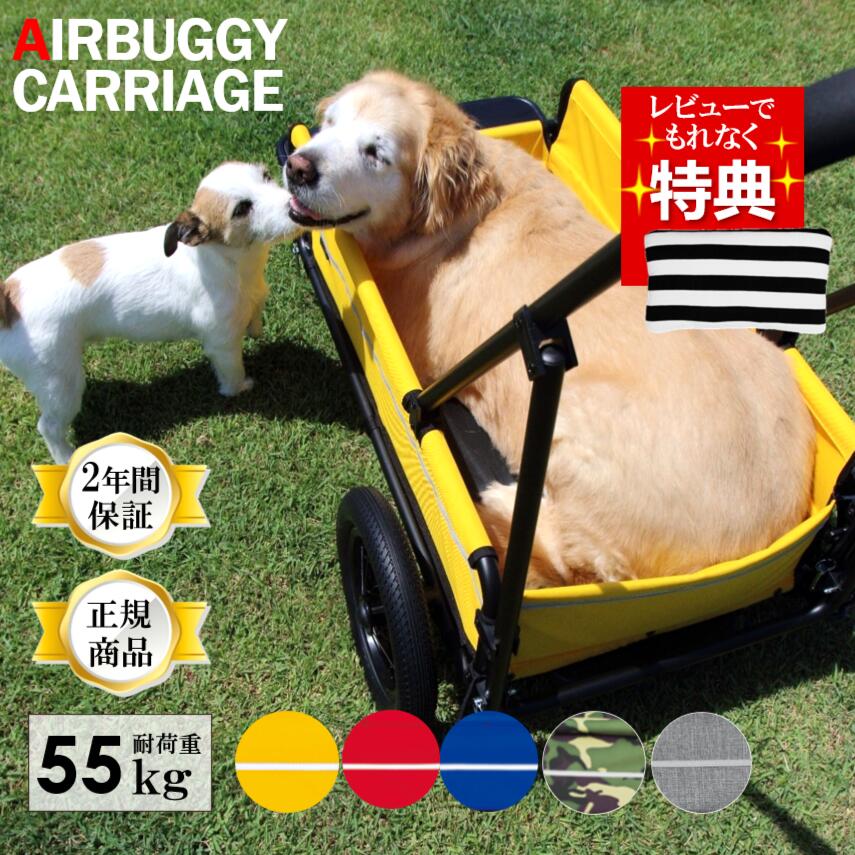 【レビュー特典】正規保証品 犬 エ