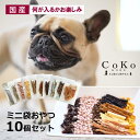 【GWセール★6日まで全品3%OFFクーポン!!】 犬 おやつ 詰め合わせ 何が入るかお楽しみ ミニサイズおやつ10個 おやつ ギフト プチギフト プレゼント ...