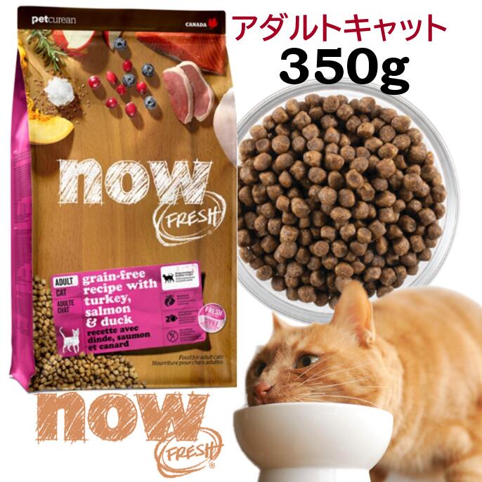 【店舗受取り可能】ナウフレッシュ 猫 キャットフード ドライ アダルトキャット グレインフリー 350g NOW Fresh adulte cat grain-free