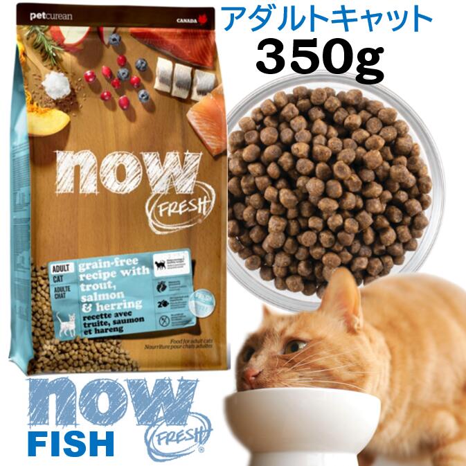 【店舗受取り可能】ナウフレッシュ 猫 キャットフード ドライ アダルトフィッシュ キャット グレインフリー 350g NOW Fresh fish adulte cat grain-free