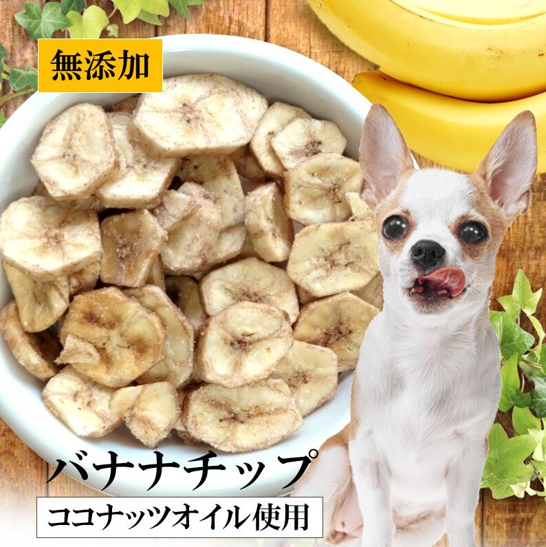   ̵ź Хʥ  ̵źåХʥ CoKoꥸʥ Ѥ Хʥʥå (60g) banana for dogs...