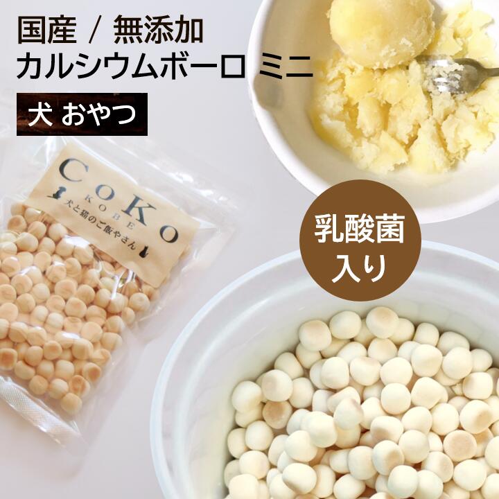 【店舗受取り可能】国産 無添加 犬 おやつ カルシウム ボーロ ミニ (50g)CoKo犬と猫のご飯やさん 小型犬 中型犬 子犬 シニア犬 ビスケット トリーツ トレーニング ご褒美 トッピング ドッグ ここいぬのサムネイル