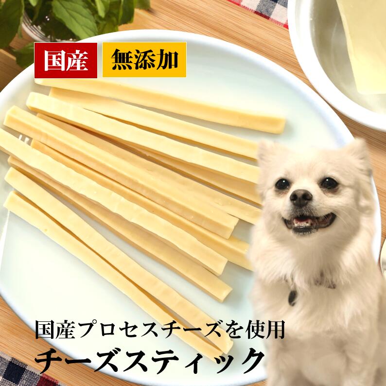    ̵ź  ʥ CoKoꥸʥ  ƥå (50g) Cheese stick for dogsŹ޼ǽ