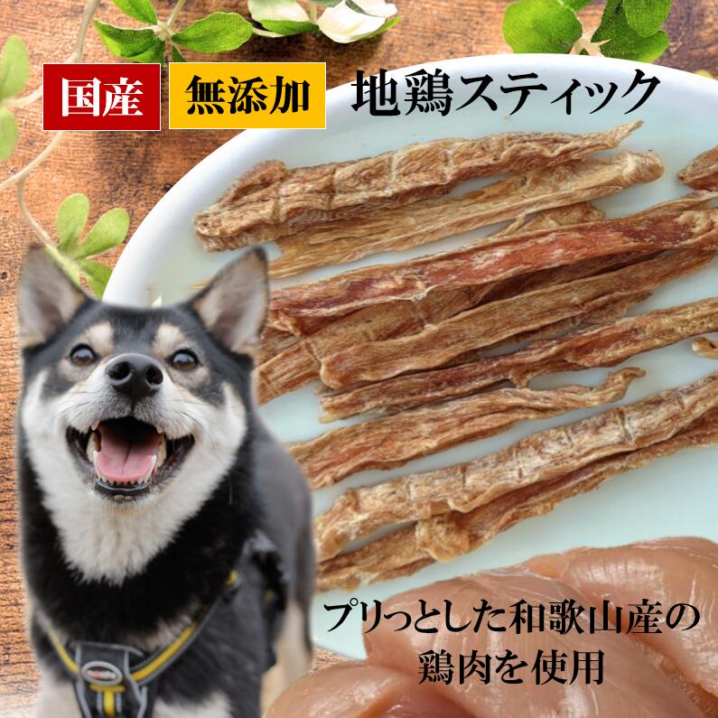 犬 おやつ チキンジャ