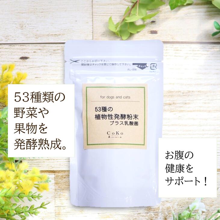 犬 乳酸菌 サプリ 国産 無添加 乳酸菌サプリメント ペット 53種の植物性発酵粉末プラス乳酸菌 (50g) ドッグフード キャットフード ペットフード 無添加サプリ ふりかけ トッピング CoKo 犬と猫のご飯やさん ドッグ ここいぬ【店舗受取り可能】