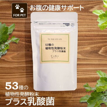 犬 乳酸菌 サプリ 国産 無添加 乳酸菌サプリメント ペット 53種の植物性発酵粉末プラス乳酸菌 (50g) ドッグフード キャットフード ペットフード 無添加サプリ ふりかけ トッピング CoKo 犬と猫のご飯やさん ドッグ ここいぬ【店舗受取り可能】