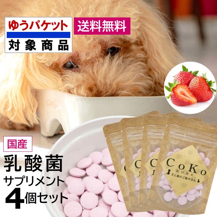 犬 乳酸菌 サプリ 国産 無添加 乳酸菌サプリメント CoKoオリジナル サプリメント 乳酸菌 ストロベリー 国産 (30g×4個) ドッグフード キャットフード 無添加サプリ ふりかけ トッピング CoKo 犬と猫のご飯やさん ドッグ ここいぬ【送料無料・ゆうパケットでお届け】