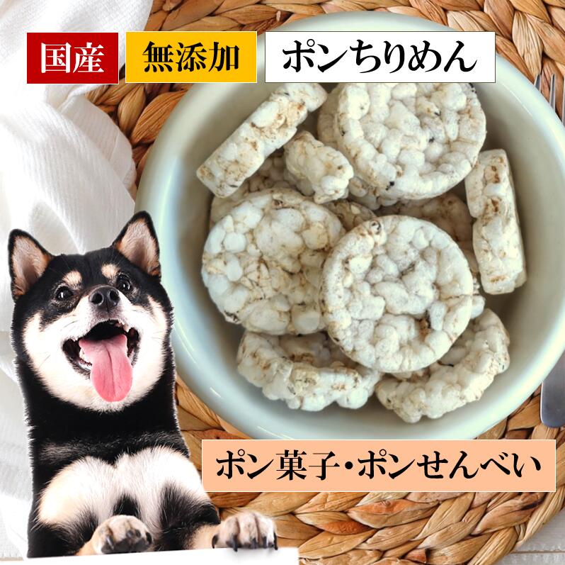 楽天CoKo犬と猫のご飯やさん犬 おやつ せんべい 無添加 国産 ポン菓子 煎餅 CoKoオリジナル 犬おやつ ポンちりめん 国産 無添加 （20g） ricepuff for dogs【店舗受取り可能】