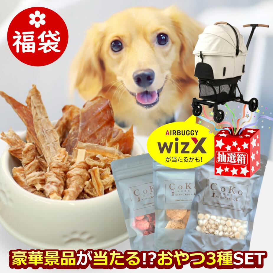 【 エアバギー ウィズエックス が当たるかも・抽選つき 】犬 福袋 2026 豪華景品があたる！おや ...