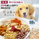犬 ペット 福袋 2025 国産 おやつ パピー シニア パピーからシニアまで嬉しい低たんぱく中心としたおやつセット チーズ バナナチップ 低たんぱく質 低蛋白...
