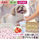 【マラソン限定店内最大3,000円OFFクーポン!!】 犬 サプリ 国産 無添加 乳酸菌 サプリメント 発酵 酵素 お腹想いのサプリセット 53種の植物性発酵粉末 (50g×1) と乳酸菌ストロベリー (30g×3) フード ペットフード CoKo 犬と猫のご飯やさん