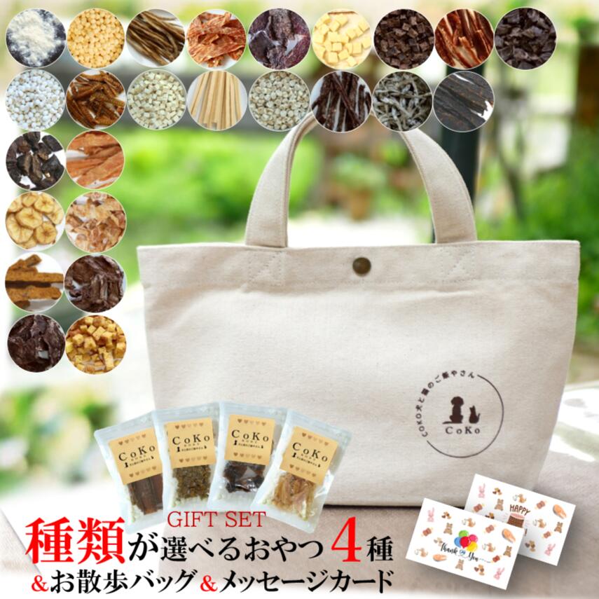 【店舗受取り可能】CoKoオリジナル 犬おやつ 大切なお友達へ贈るギフト 選べるミニおやつとお散歩バッグセット CoKo犬と猫のご飯やさん 小型犬 中型犬 子犬 シニア犬 トリーツ トレーニング ご褒美 トッピング ドッグ ここいぬのサムネイル