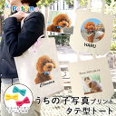 オーダーメイド ペット オリジナル 写真 ペットの写真 愛犬 バッグ 買い物 トートバッグ 作成 かわいい おしゃれ ペットグッズ ペット用品 名入れ 名前入り メモリアル 猫 犬 ネコ オリジナル グッズ 誕生日 記念日 オーダー プレゼント 贈り物 トートバッグ petomo