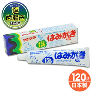 フッ素 なし 歯磨き粉 塩はみがき 不動化学 歯磨き 虫歯を防ぐ 自然塩 ソルト 塩歯みがき お徳用 日本製 120g