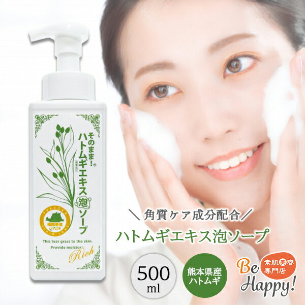 シンエイ そのまま！ ハトムギエキス 泡ソープ リッチ 500ml シンエイ 正規代理店 角質ケア メイク落とし 植物系 泡洗顔 ヨクイニンエキス あんず イボ ニキビ ポンプタイプ マシュマロ調 【日本製】