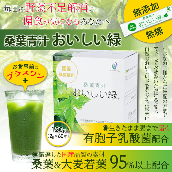今話題の 桑の葉 青汁 おいしい緑 桑葉 植物茶 桑葉茶 大麦若葉 置き換えダイエット 抹茶風味 製法特許　栄養補助食品 国産 無添加 無糖 有胞子乳酸菌 無農薬 120g 野菜不足 スティックタイプ 2g×60本 あす楽