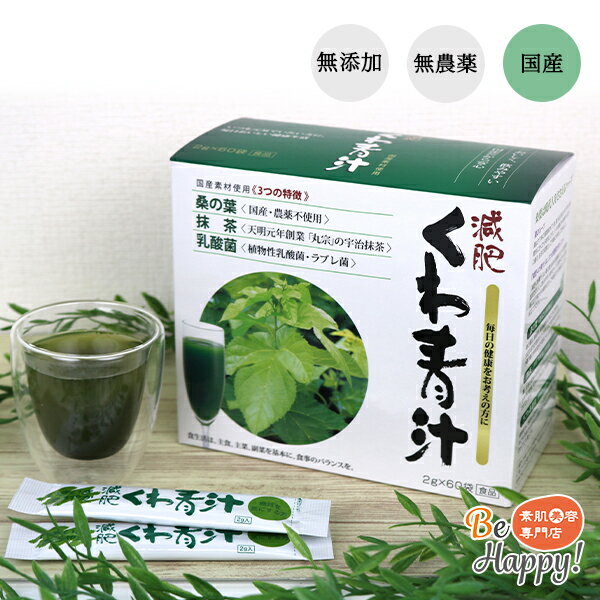 桑の葉 青汁 桑の葉茶 国産 農薬不使用 2g×50包 100g 桑茶 真 減肥 くわ青汁 血糖値 健康茶 ダイエット 京都 宇治抹茶 ラクリス 乳酸菌 栄養補助食品 無添加 無糖