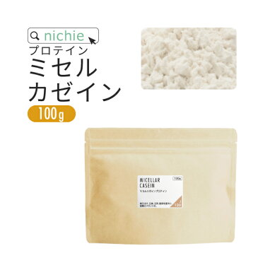 カゼインプロテイン プレーン 100g 人工甘味料 無添加 ミセルカゼイン プロテイン ホエイプロテイン との併用や 女性 にもおすすめ nichie ニチエー