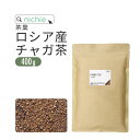 チャガ茶 400g チャーガ茶 カバノアナタケ茶 チャガティー 健康茶 nichie ニチエー