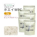 ホエイプロテイン WPC プレーン 5kg 人工甘味料 無添加 プロテイン コンセントレート の ホエイプロテイン100 女性 にもおすすめ ココア イチゴ フレーバープレゼント nichie ニチエー