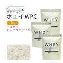 ホエイプロテイン WPC プレーン 3kg 