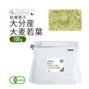 楽天nichie ＊ ニチエー青汁 大麦若葉 大麦若葉青汁 国産 オーガニック 100g 大分県産 新鮮な 大麦若葉 をすぐ加工し 粉末 にした 無添加 青汁 G10 nichie ニチエー RSL【s青】