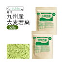 青汁 大麦若葉 大麦若葉青汁 国産 500g 九州産 新鮮な 大麦若葉 をすぐ加工し 粉末 にした 甘味料・着色料・保存料不使用 青汁 H10 nichie ニ...