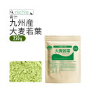 青汁 大麦若葉 大麦若葉青汁 国産 250g 九州産 新鮮な 大麦若葉 をすぐ加工し 粉末 にした 甘味料・着色料・保存料不使用 青汁 H10 nichie ニ...