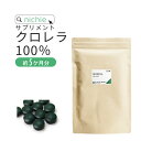 健康食品の原料屋 ヤエヤマ クロレラ 八重山クロレラ 無添加 100％ 粉末 石垣島産 約4ヵ月分 80g×5袋