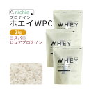 ホエイプロテイン WPC プレーン 3kg 人工甘味料 無添加 プロテイン コンセントレート の ホエイプロテイン100 ！ 女性 にもおすすめ ココア イチゴ フレーバープレゼント nichie ニチエー