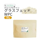 ホエイプロテイン WPC グラスフェッド プレーン 100g 甘味料不使用 プロテイン コンセントレート の ホエイプロテイン100 ! 女性 にもおすすめ nichie ニチエー