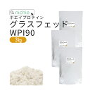 ホエイプロテイン WPI 90 グラスフェッド プレーン 3kg 【賞味期限2024年5月30日】人工甘味料 無添加 プロテイン アイソレート の ホエイプロテイン100 ！ 女性 にもおすすめ ココア イチゴ フレーバープレゼント nichie ニチエー