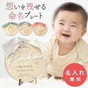\レビュー特典/ 命名書 オーダー 赤ちゃん アクリル メモリアルプレート 出産 おしゃれ 命名札 誕生花 星座 名前札 木製 ベビー ニューボーンフォト バー...