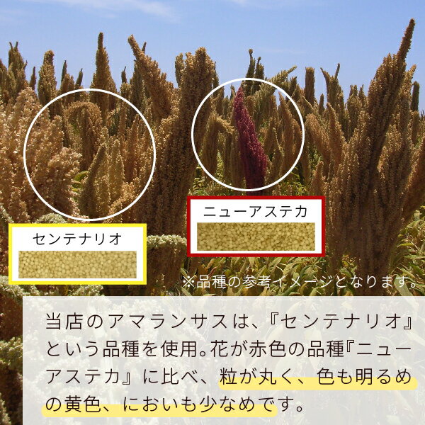 楽天市場 アマランサス ペルー産 950g 品種 センテナリオ 使用 雑穀 Nichie ニチエー Nichie ニチエー 楽天市場 アマランサス ペルー産 950g 品種 センテナリオ 使用 雑穀 Nichie ニチエー Nichie ニチエー