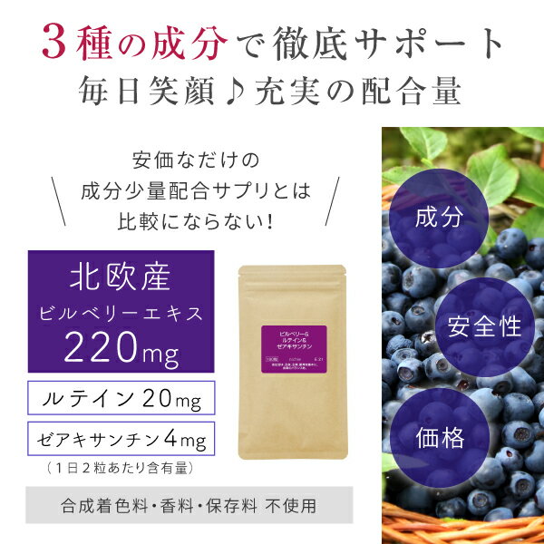 楽天市場 ビルベリー ルテイン ゼアキサンチン サプリ 60粒 約1ヶ月分 ブルーベリー サプリメント をお探しの方にもおすすめ アントシアニン ポリフェノール 含有 北欧産 ビルベリー 使用 E Nichie ニチエー Nichie ニチエー