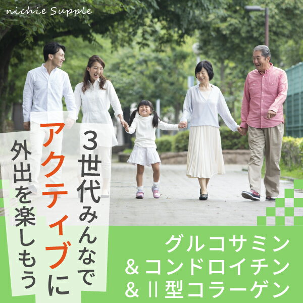 グルコサミン コンドロイチン コラーゲン 450粒（約3ヶ月分） 気になるトラブルに グルコサミン コンドロイチン ヒアルロン酸 サプリメント nichie ニチエー RSL