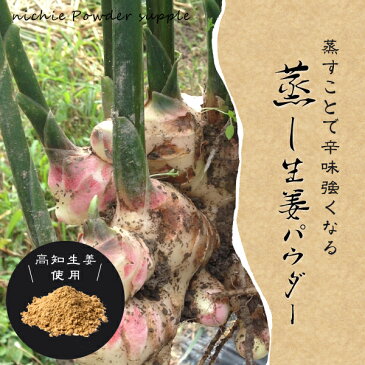 蒸し生姜 しょうが 粉末 100% 70g 高知県産 蒸しショウガ 乾燥ショウガ を パウダー に 無添加 国産 生姜 を手軽に摂取 nichie ニチエー