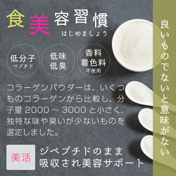 コラーゲン 粉末 サプリ 100% 500g ポーク コラーゲンペプチド を手軽に摂取 大容量 コラーゲンパウダー M20 nichie ニチエー